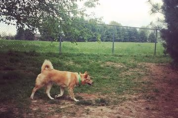 Joe Glik Park Dog Park